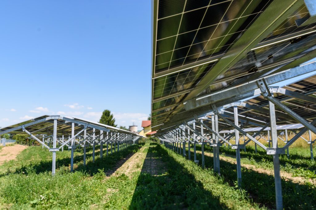 Blick durch die aufgeständerten Modulreihen der Solarfarm Enns-Schäferhof mit bewachsener Fläche darunter